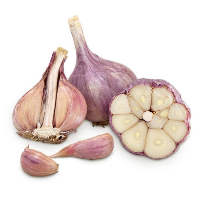Garlic Bulbs - deGraaf Garlic