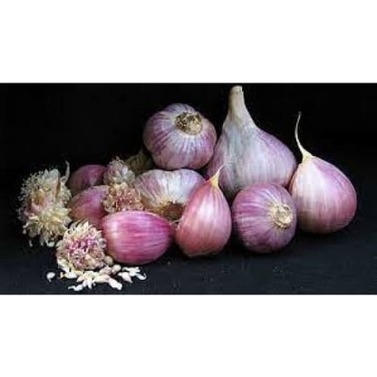 Garlic Bulbs - deGraaf Garlic